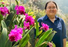 Learn to Care for Houseplants, Get Gardening Tips & more with Gardens by the Bay