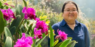 Learn to Care for Houseplants, Get Gardening Tips & more with Gardens by the Bay