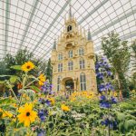 Gardens by the Bay, Resorts World Sentosa, Wildlife Reserves Singapore Parks To Reopen From 1 July