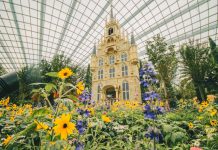 Gardens by the Bay, Resorts World Sentosa, Wildlife Reserves Singapore Parks To Reopen From 1 July