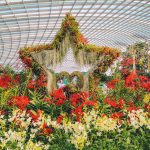 5 Reasons To Celebrate Singapore’s Birthday With Gardens by the Bay