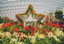 5 Reasons To Celebrate Singapore’s Birthday With Gardens by the Bay