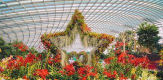 5 Reasons To Celebrate Singapore’s Birthday With Gardens by the Bay