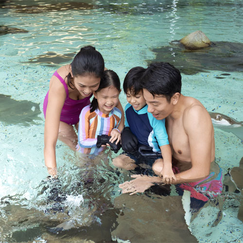 Adventure-Cove-Waterpark