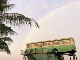 Unique Dining Experiences