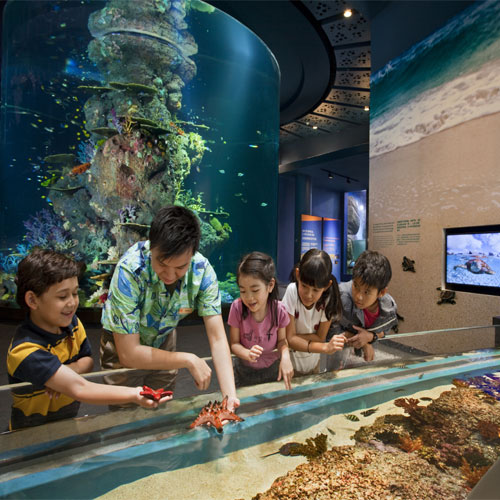 S.E.A-Aquarium