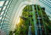 5 Reasons To Visit Cloud Forest at Gardens by the Bay