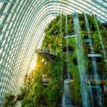 5 Reasons To Visit Cloud Forest at Gardens by the Bay