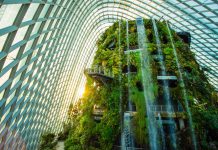5 Reasons To Visit Cloud Forest at Gardens by the Bay