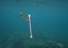 8 Impactful Images To Check Out At ArtScience Museum’s “Planet or Plastic?”