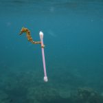 8 Impactful Images To Check Out At ArtScience Museum’s “Planet or Plastic?”