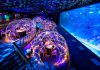 4 Fun Happenings At Resorts World Sentosa You Shouldn’t Miss