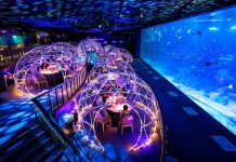 4 Fun Happenings At Resorts World Sentosa You Shouldn’t Miss