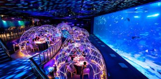 4 Fun Happenings At Resorts World Sentosa You Shouldn’t Miss