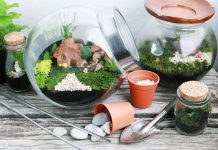 7 Displays & Activities To Check Out At Gardens by the Bay