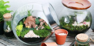 7 Displays & Activities To Check Out At Gardens by the Bay