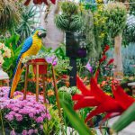 6 Activities At Gardens by the Bay To Check Out This October