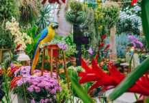 6 Activities At Gardens by the Bay To Check Out This October