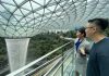 4 Tours To Discover Jewel Changi Airport’s Gems