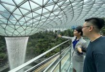 4 Tours To Discover Jewel Changi Airport’s Gems