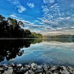 5 Fun Things To Do At MacRitchie Reservoir Park
