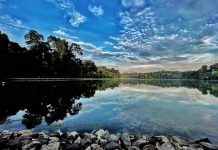 5 Fun Things To Do At MacRitchie Reservoir Park