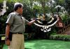 4 Reasons To Visit Jurong Bird Park In January