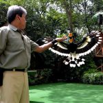 4 Reasons To Visit Jurong Bird Park In January
