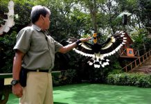 4 Reasons To Visit Jurong Bird Park In January