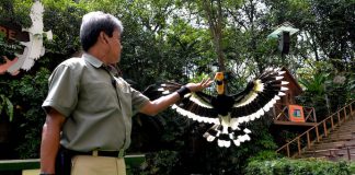 4 Reasons To Visit Jurong Bird Park In January