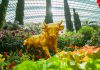 3 Exciting Things To Check Out At Gardens by the Bay