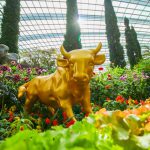 3 Exciting Things To Check Out At Gardens by the Bay