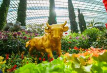3 Exciting Things To Check Out At Gardens by the Bay