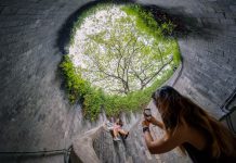 4 Guided Tours To Rediscover Singapore Afresh