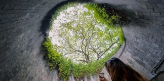 4 Guided Tours To Rediscover Singapore Afresh