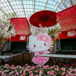 6 March Activities At Gardens by the Bay