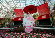 6 March Activities At Gardens by the Bay