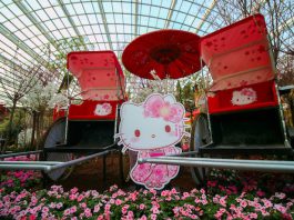 6 March Activities At Gardens by the Bay