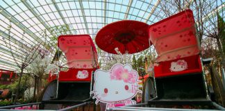 6 March Activities At Gardens by the Bay