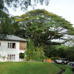 5 Heritage & Nature Highlights Of SG Walk The Colonial @ Queenstown Tour