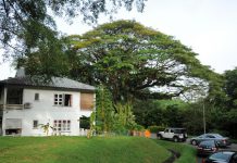 5 Heritage & Nature Highlights Of SG Walk The Colonial @ Queenstown Tour