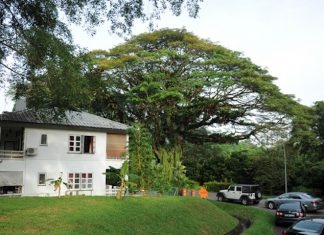 5 Heritage & Nature Highlights Of SG Walk The Colonial @ Queenstown Tour