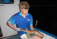 5 New Skills & Info To Pick Up