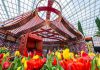 5 Things To See & Do At Gardens by the Bay