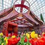 5 Things To See & Do At Gardens by the Bay