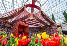 5 Things To See & Do At Gardens by the Bay