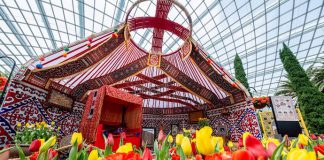 5 Things To See & Do At Gardens by the Bay