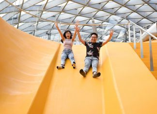 6 Amazing Ways To Have Fun at Jewel Changi Airport’s Canopy Park 8 Best Family Activities - Canopy Park