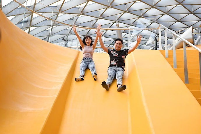 Canopy Park - Discovery Slides