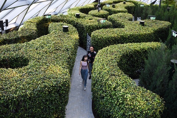 Canopy Park - Hedge Maze